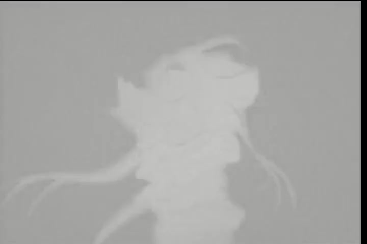 [Tsukyio Editing Resources] Hellsing (Episode 10) Raw Clips (204) (tsukyio.com).mp4
